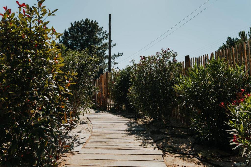 Création terrasses extérieures bois sur mesure sur le bassin d'arcachon 